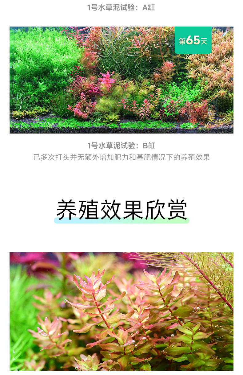 尼特利水草泥鱼缸生态草缸营养土开缸伴侣水草液肥专用水草泥底砂 detail 23