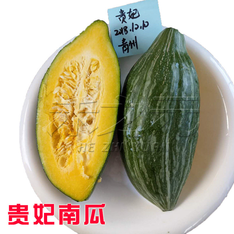 Concubine pumpkin seeds vegetable seeds sweet melon chestnut four seasons potted spring summer autumn winter fruit seeds