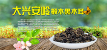 Northeast fungus premium Daxinganling black fungus Autumn ear Alpine zone fungus cold pole ecological fungus