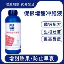 Cuikang promotes root sweetening and flushing liquid watermelon strawberry fruit tree special water-soluble fertilizer phosphate calcium type Flushing fertilization 1 thousand grams