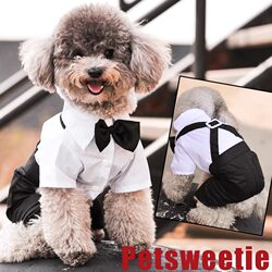 Accompanying Puppy Clothes Wedding Handsome Dog Wedding Special Small Dog Teddy Bomei Pet Dress Suit