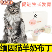 Pet cat Burmese cat special goats milk pudding jelly young cat into cat snacks kitty cat meme bright hair nourishment