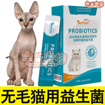 Hairy Cat Spenx Cat Supplies Eat Probiotic Kitty Special Juvenile Cat Vomiting Diarrhea Gastrointestinal conditioning