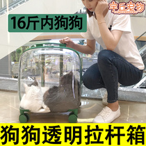 Pet Bubble Box Pooch Out Pull Bar Box Transparent Portable Bag Big travel suitcase out to the outside bag