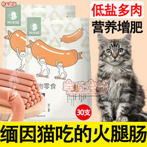 Silver asymptotic Burmese cat special kitty snacks fire leg intestine into cat infant cat low salt to feed cat nutrition calcium sausage