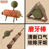 Kitty Grindrome Nibbling Adult Cat Little Milky Cat Clean Teeth Except Mouth Stink And Dont Dont Tease The Cat Stick Tease.