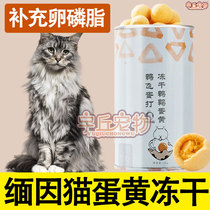 Silver tiger spotted Burmese cat egg yolk freeze-dried kitty quail egg yellow grain snacks nutty food main grain meme