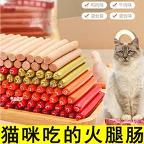 Kitty Fire Leg Bowel snacks into cat infant cat Low salt Salt Gain Training Pet Chicken Beef Fresh Meat Fed Cat Sausage