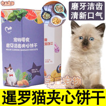 Thai Siamese cat kitty sandwich biscuit cat with sandwich ghee with the exception of mouth and zero food and clean tooth and finish with calcium mint