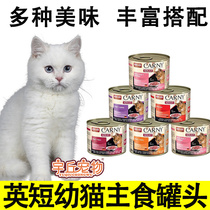 British Short Exclusive Staple Food Jars Main Grain Cans Fatter Wet Grain Supplement Nourishment Blush Kitty Cat Wet Cat Food Young Cat