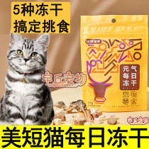 Tiger Spotted Beauty Short Cat Daily Freeze-dried Hair Gill Main Grain Nutrient Cat Used Freeze-dried To Mix Staple Food For Young Cat Food