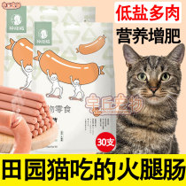 Field Park Fancy Cat Exclusive Kitty snacks fire legs Enterosauria cats Cat Young Cat Low Salt Cat Used To Feed Cat Nutrition Calcium Sausage