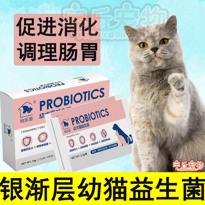 Silver asymptotic young cat with probiotic conditioning Gastrointestinal Vomiting Lathin Soft Poop Milk Cat Constipation Latummy Digestive
