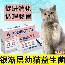 Silver asymptotic young cat with probiotic conditioning Gastrointestinal Vomiting Lathin Soft Poop Milk Cat Constipation Latummy Digestive