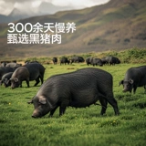 宝宝馋瞭 Черная свинья Мясо для детей без добавок вкуса закусок для детей старше года