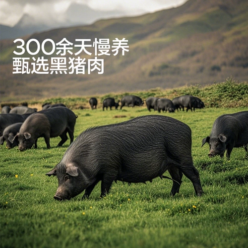 宝宝馋瞭 Черная свинья Мясо для детей без добавок вкуса закусок для детей старше года