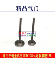 Suitable for old style chain machine 5 sheep WY125A-C Carling 125 valve rod valve putter