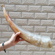 Taoism multiplier buffalo horn horn buffalo horn no niu jiao hao horn horn blow the horn horn props