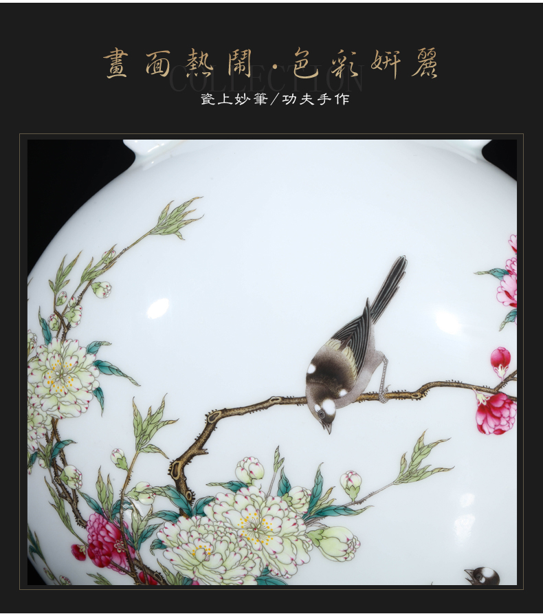 Jia lage jingdezhen hand - made ceramic vase YangShiQi colored enamel bird patterns and name on bottle porch place