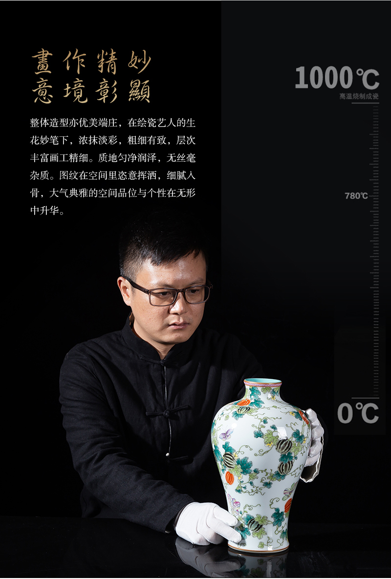 Jia lage jingdezhen ceramic vase YangShiQi famille rose see vines flower arrangement and the name mei bottles of China