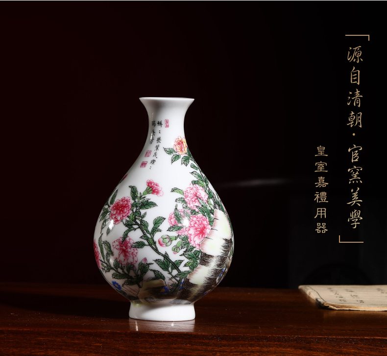 Jia lage jingdezhen ceramic vase YangShiQi the qing qianlong enamel see colour flowers and name okho spring bottle furnishing articles