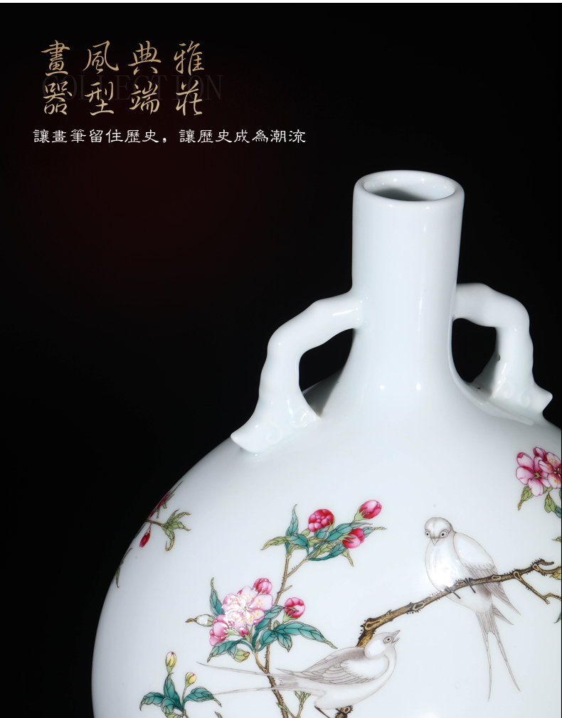 Jia lage jingdezhen hand - made ceramic vase YangShiQi colored enamel bird patterns and name on bottle porch place