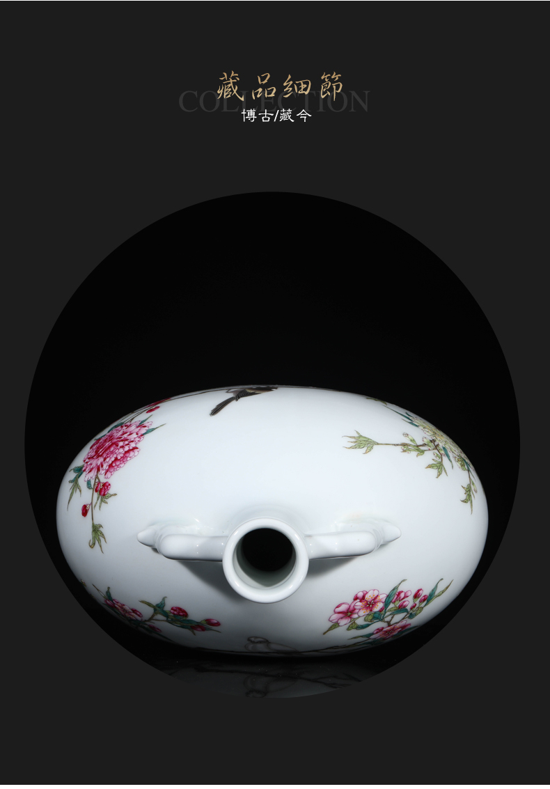 Jia lage jingdezhen hand - made ceramic vase YangShiQi colored enamel bird patterns and name on bottle porch place