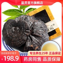 Lanling Ganoderma lucidum slices Changbai Mountain purple Ganoderma lucidum red Ganoderma lucidum wild slices Ganoderma lucidum tea soaked in water