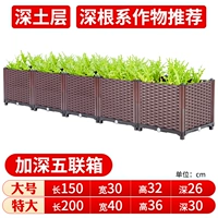 [Deeple] 5 Union Boxes