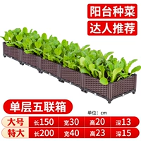 Сингл -слоя 5 Union Box