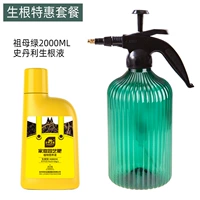 Зеленый питательный раствор, распылитель