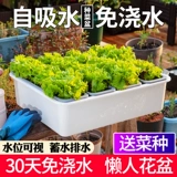 Семейная балкона посадки артефакт ленивый я -поглощающий цветочный горшок.