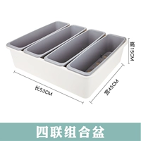 Ленивые четыре союза цветы