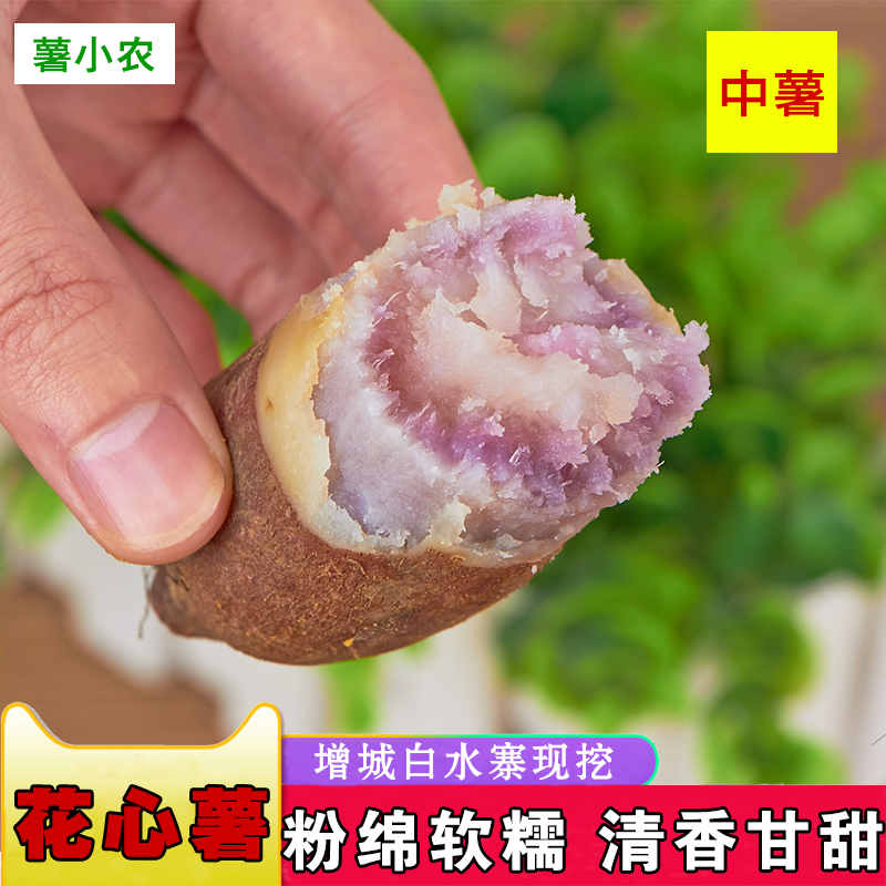 Paitan Sweet Potato Flower Heart Purple Potato Multicolored Potato A Little Sweet Potato Ice Cream Potato Fresh Flower Heart Sweet Potato 5 Potatoes
