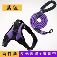 Фиолетовый два -костюм (грудь назад+1,5 м против прожектора круглой веревки)