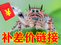 Make up the difference link