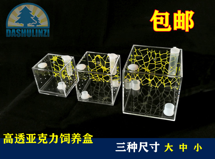 Climbing Nets High Through Acrylic Rearing Box Chirpon Pet Mantis Spider Web Spider Insect Laceworm