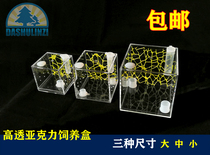 Climbing net High transparent acrylic feeding box Song insect Pet Mantis Spider web Spider insect Sandfly