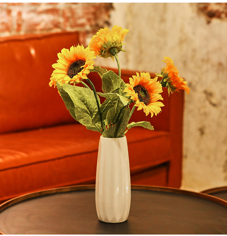 Give Exclusive Links to the Soygen 