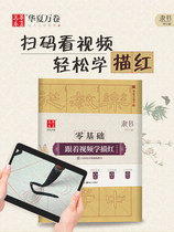 The official book Cao Quanbei zero foundation followed by video learning to draw red wool edge paper famous teacher video teaching brush red Cao Quanbei official monument calligraphy Post writing technique explanation collection works