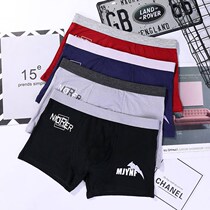 2 pieces 4 pieces Modal mens underwear Mens boxer shorts Mens shorts head mens boxers trend youth mens underwear