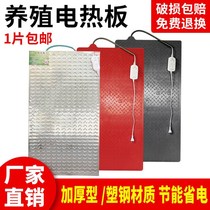 Piglets electric heating plate Pig stainless steel breeding insulation board heating plate Pet dog pig heating plate Carbon fiber thickness