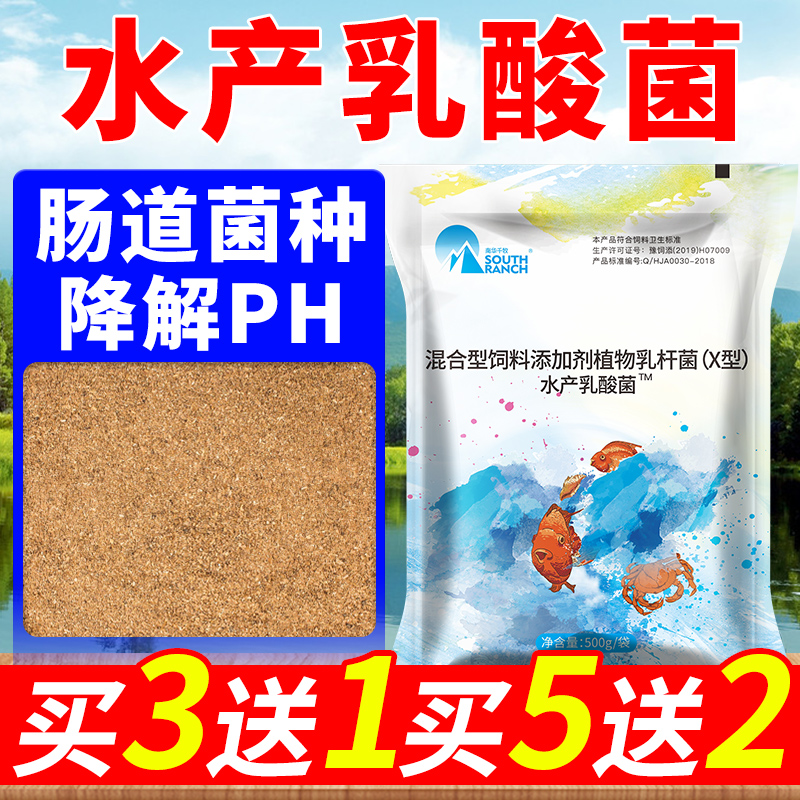 Nanhua Qianmu lactic acid bacteria aquaculture special concentrated powder to control vibrio to reduce nitrite, ammonia and nitrogen to reduce PH value