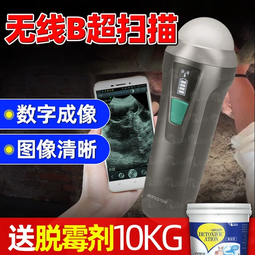Pig B -ultrasounce Pet, кошка, кошка, собака, крупный рогатый скот, овца, свинина, беспроводной B -Ольтразвук, портативный инструмент проверки на беременность B -Ольтраз -беременный счетчик