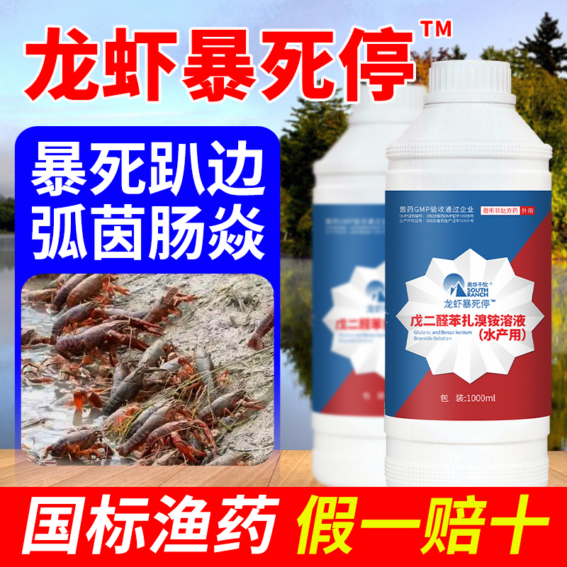 Lobster Stop Stopping Shrimp Crab Pond Climbing the Pond to Stop Death to Change Vibrio Aquaculture Lobster