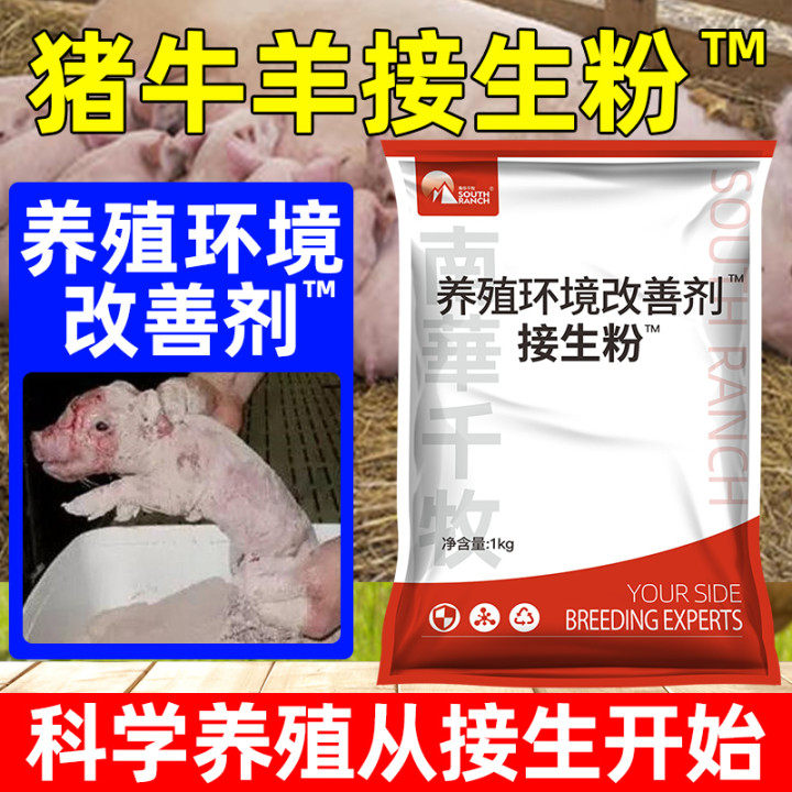 Delivery Powder Sow with Beasts Piggy Piggy Delivery Powder Pasteurized Powder Dense Suckling Pig Dry Powder Disinfectant Dry tourniquet