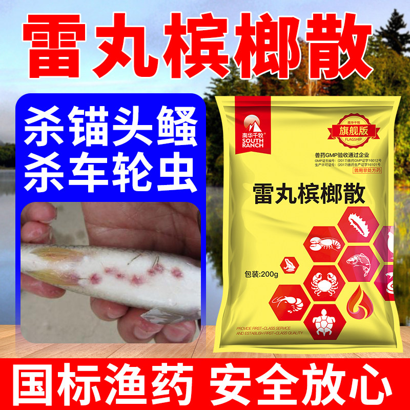 Thunder pill betel nut loose polyculture wheel net killing wheel insect inclined tube worm loach pond aquatic insecticide anchor head loach