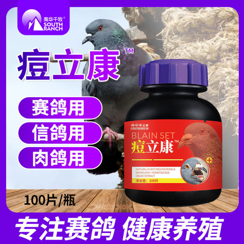 Parrot Sense meat breeds young non-pigeon drug pimple Pox Drug Eyes Corneal Cornea Long Bag of Scab Eyes Red Swollen Pussy