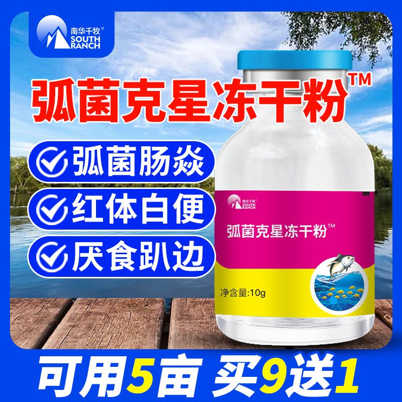 Vibrio ketella frozen powder phagocytosis peptide in addition to harmful bacteria Non-dellovibrio Aquaculture Control Vibrio Kesei