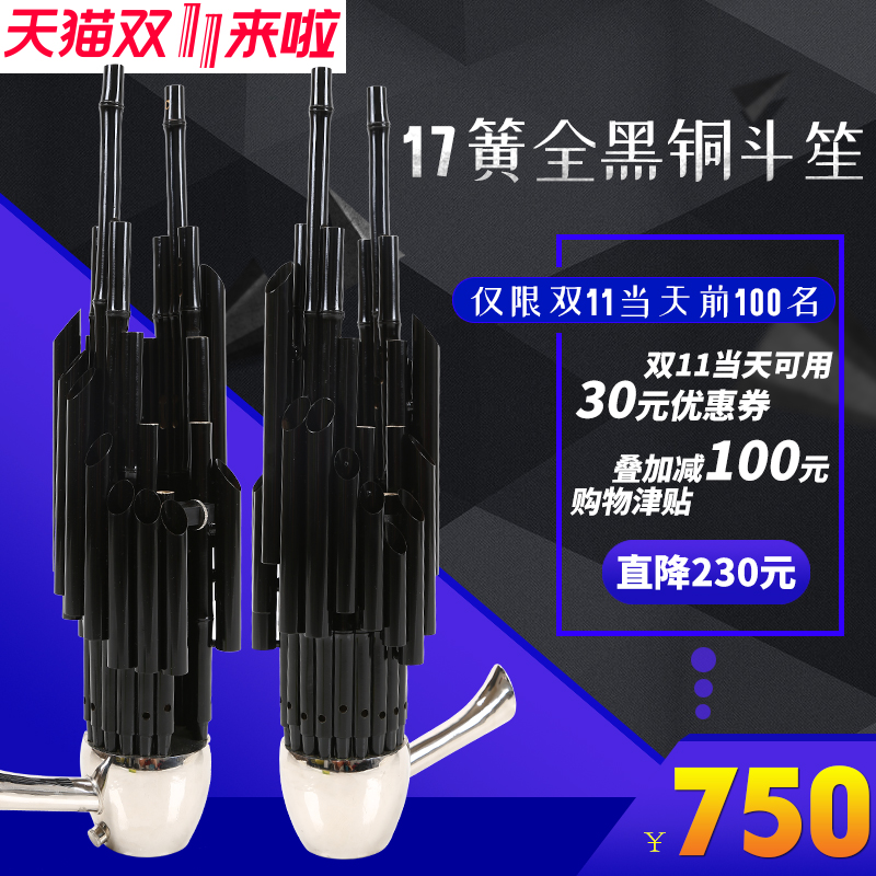 Tianjin Wang's Sheng musical instrument 17 spring enlarged soundtrack Sheng Yuansheng Sheng Instrumental Sheng Musical Instruments Beginners Presented Sheng Accessories Sheng Kits